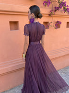 cayetana-pleated-chiffon-maxi-dress-3